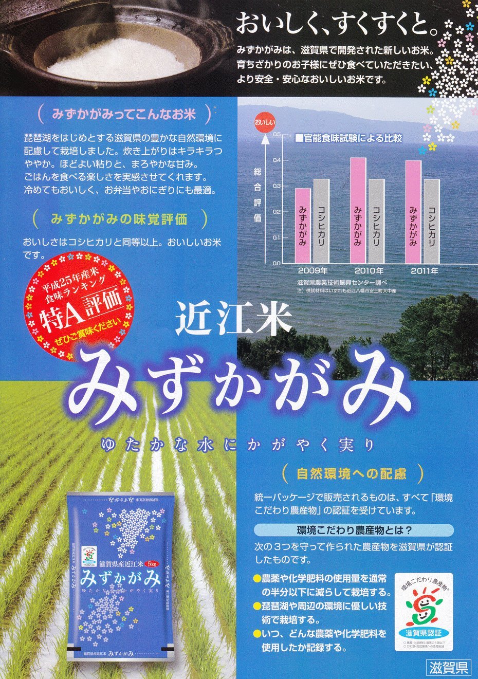 Amazon.co.jp: 【7年産】玄米 20kg 環境こだわり米 滋賀 みずかがみ
